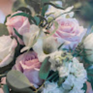 Meet your Posher, Lani